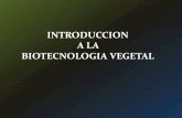 INTRODUCCION A LA BIOTECNOLOGIA VEGETALecaths1.s3.amazonaws.com/farmacobotanicaunt/1193975885.clase 1... · llamada placa celular que comienza a formarse dentro del fragmoplasto y