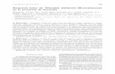 Anatomía foliar de Tillandsia didisticha (Bromeliaceae) …lillo.org.ar/revis/lilloa/2011-48-2/lilloa-48-05.pdf · sidad de estomas y escamas (mm²). Los pre-parados de referencia,