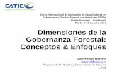 Curso Internacional de Formación de Capacitadores en … · Contenido de la Charla • Conceptos de la Gobernanza Forestal –El vínculo de la gobernanza forestal con REDD+ y otras
