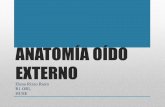 ANATOMÍA OÍDO EXTERNO - sborl.essborl.es/wp-content/uploads/2018/01/Anatomia_oido_externo.pdf · EXTERNO • Forma de S itálica o sigmoide. • Mide 4 cm desde el trago y 2,5 cm