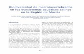 Biodiversidad de macroinvertebrados en los ecosistemas ... · con la localización de los ecosistemas salinos estudiados ... visitados para su posterior clasificación en tipos, se