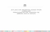 ATLAS DE MORTALIDAD POR CÁNCER PROVINCIA DE … · El Instituto Nacional del Cáncer (INC) en el Atlas de Mortalidad por Cáncer para Argentina 2007-2011, ... C44 Piel, no melanoma
