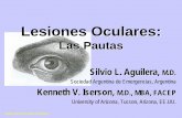 Lesiones Oculares - reeme.arizona.edu ·  Los ojos son muy sensibles a las lesiones. Un manejo inadecuado puede resultar en mayor daño y pérdida de la visión.