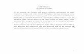 CAPITULO I INTRODUCCIÓN - repositorio.ug.edu.ecrepositorio.ug.edu.ec/bitstream/redug/818/3/Petrotectónica y... · Análisis petrográfico de láminas delgadas. Preparación de las