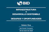 INFRAESTRUCTURA Y DESARROLLO SOSTENIBLE …ceri.fgv.br/sites/ceri.fgv.br/files/arquivos/desafios-do-setor-de... · costos de transporte y promoviendo la competitividad y la integración