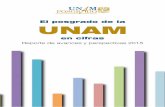 El posgrado de la UNAM - 132.248.246.4132.248.246.4/sites/default/files/2015/10/el_posgrado_en_cifras.pdf · Matemáticas y de las Ingenierías; Ciencias Biológicas, Químicas y