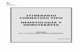 ITINERARIO FORMATIVO TIPO HEMATOLOGÍA Y …osaraba.eus/wp-content/uploads/2018/03/jpa18-ift-hematologia-y...itinerario formativo tipo hematologÍa y hemoterÁpia tutora: dra. itziar