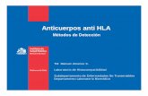 Anticuerpos anti HLA - nefro.clE9todos... · a linfocitos tipificados para antígenos HLA ABDR. Estos linfocitos son conservados en nitrógeno líquido a -192ºC. ... • Detecta
