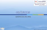 Introducción al SPSS: Gráficos - Universitat de València · LOS TIPOS DE GRÁFICOS EN SPSS. GRÁFICOS DE BARRAS. ... para datos de series temporales. Bakieva, M., ... Cuando se