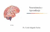 Neurociencia y Aprendizaje - BRS · Según la UNESCO,la neurociencia es una disciplina que involucra tanto a la biología del sistema nervioso, como a las ciencias Humanas, Sociales