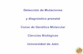 Deteccion de mutaciones - ujaen.es€¦ · Detección de mutaciones: Objetivos •Detección de enfermedades hereditarias •Detección de polimorfismos asociados a predisposición