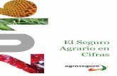 EL SEGURO AGRARIO EN CIFRAS 2016 - …agroseguro.es/fileadmin/propietario/Agroseguro/Cifras_mas_d... · El Seguro Agrario en Cifras 1. Primas Imputadas (Netas Periodificadas) actualizadas