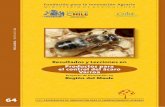 Proyecto de Innovación en Región del Maule - opia.cl · La varroasis y su impacto en la producción nacional de miel La varroasis es una enfermedad ... Esta enfermedad no sólo