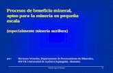 Procesos de beneficio mineral, aptos para la minería en ... · aptos para la minería en pequeña escala (especialmente minería aurífera) por: Hermann Wotruba, Departamento de