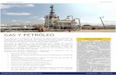GAS Y PETRÓLEO - Inicio | SICE5… · procesos industriales, especialmente en los sectores de Gas y Petróleo, ... para transferencia de custodia cumpliendo con las principales normas,