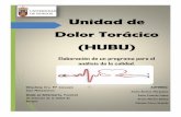 Unidad de Dolor Torácico (HUBU) - riubu.ubu.esriubu.ubu.es/bitstream/10259/4068/1/Alvarez-Francés-Martín-Pérez... · Unidad de Dolor Torácico (HUBU) Elaboración de un programa