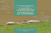 DE LAS TORTUGAS CONTINENTALES DE …carr/Giraldo-etal_2012_Kinosternon_leucostomum... · 4. Historia evolutiva y paleobiogeografía de las tortugas de Colombia ... de los límites