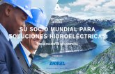 HYDRO SU SOCIO MUNDIAL PARA SOLUCIONES …€¦ · hydro febrero 2018 presetaciÓn de la compaÑÍa su socio mundial para soluciones hidroelÉctricas