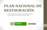 PLAN NACIONAL DE RESTAURACIÓN - …elti.fesprojects.net/2014 Restauracion_Manizales/j._sanchez_plan... · ENFOQUE CONCEPTUAL •La restauración es un proceso complejo, integral
