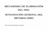 MECANISMO DE ELIMINACIÓN DEL NH3. …uvsfajardo.sld.cu/sites/uvsfajardo.sld.cu/files/co9_excrecion_de... · central en el metabolismo de los compuestos nitrogenados y se vinculan