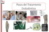 Pasos del Tratamiento Endodóntico - odon.uba.ar€¦ · “El tratamiento endodóntico es un conjunto de maniobras quirúrgicas con el objetivo de lograr la reparación o regeneración