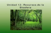 Unidad 12: Recursos de la Biosfera - Bioyciencias · elementos contaminantes . Salinización y alcalinización por acumulación de sales. 2. ... efectos a largo plazo no estudiados.