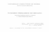 TUMORES PRIMARIOS DE HíGADO - biblioteca.ucm.esbiblioteca.ucm.es/tesis/19911996/D/0/AD0082801.pdf · ESTUDIO ESTADíSTICO DEL CANCER DE HíGADO EN ESPAÑA 5. CARCINOMA HEPATOCELULAR