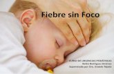 FIEBRE SIN FOCO - Inicio · 2017-06-12 · FIEBRE SIN FOCO (FSF): Episodio febril agudo de < 72 horas de evolución, en el que tras ... ¿proceso vírico banal o ... -No recibió