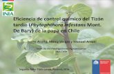 Presentación de PowerPoint - … · TIZÓN TARDÍO •Phytophthora infestans Mont. Agente Causal de Bary •Pudrición acuosa de las hojas, con presencia de micelio aterciopelado