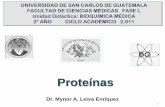 Proteínas - Bioquímica fundamental | Dr. Mynor Leiva ... · proteinas y lípidos. Amilasa para completar la digestión del almidón. Organización del tracto gastrointestinal (GI)