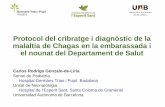 Protocol del cribratge i diagnòstic de la malaltia de ... · 1) Identificació de les dones a cribar i posterior realització de test d’alta sensibilitat en sèrum (ELISA Ag nadiu