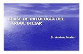 CLASE DE PATOLOG ÍA DEL ARBOL BILIAR - …blogs.eco.unc.edu.ar/cirugia/files/2011/09/Patología-biliar... · clase de patolog Ía del arbol biliar dr. anatole bender. discinesia