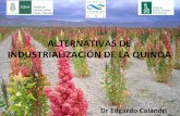 ALTERNATIVAS DE INDUSTRIALIZACIÓN DE LA … Andinos... · • Las bien conocidas ventajas de la quinoa • Gran adaptabilidad a diferentes condiciones edafoclimácas . • Se pueden
