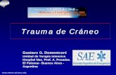 Trauma de Cráneo - Recursos Educacionales en Español para Medicina de … de craneo1.pdf · 2012-06-27 · Trauma de Cráneo Gustavo G ... GRAVE EN ARGENTINA Grupo de Trabajo Neurointensivo