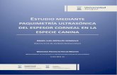 ESTUDIO MEDIANTE PAQUIMETRÍA ULTRASÓNICA …zaguan.unizar.es/record/8717/files/TAZ-TFM-2012-688.pdf · estudio mediante paquimetrÍa ultrasÓnica del espesor corneal en la especie