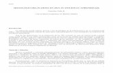 HISTOLOGÍA DEL FLOEMA EN 2014: SU DOCENCIA … Gallo.pdf · Floemático, para la asignatura troncal de “Biología Celular e Histología Vegetal y Animal”, ...