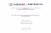 EL SECTOR DE LAS MICROFINANZAS EN MÉXICO - … · B. Los paradigmas sobre las microfinanzas rurales.....8 C. Las microfinanzcanas.....11 as mexi II. C ... comparaciones de las organizaciones