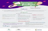 Afiche conciencia fonologica - Colombia Aprendeaprende.colombiaaprende.edu.co/sites/default/files/naspublic/a... · Dividir la fase en cada una de las palabras que la componen ...