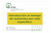 Introducción al manejo de nutrientes por sitio específico.nla.ipni.net/ipniweb/region/nla.nsf/0... · enfocado en una región, localidad o campo que tiene caractíti iterísticas