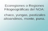 Ecoregiones o Regiones Fitogeográficas del NOA: …ecaths1.s3.amazonaws.com/catbioveg/1395777604.17 Ecoregiones del... · Cedrela en el Noroeste de Argentina. Cada punto representa