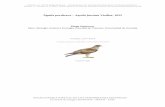 Águila perdicera – Aquila fasciata Vieillot, 1822digital.csic.es/bitstream/10261/110263/1/aqufas_v4.pdf · Museo Nacional de Ciencias Naturales, Madrid. ... ni tan siquiera entre