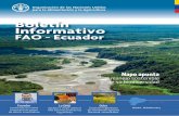 FAO - Ecuador · [ 2 ] boletín informativo - FAO Ecuador “Por un mundo sin hambre” Un mundo libre del hambre y de la malnutrición en el que la alimentación y la agricultura