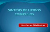 Dra. Carmen Aída Martínez · Esfingolípidos Eicosanoides . Funciones especializadas: Componente del surfactante pulmonar (lecitina) Precursores de 2dos. Mensajeros hormonales.