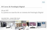 II Curso de Patología Digital - conganat.org · Características del cliente Propuesta de Ventana Digital Pathology Etapa de preinstalación Puesta en marcha