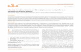 Infección de tejidos blandos por Stenotrophomonas ...cmim.org/boletin/pdf2012/MedIntContenido06_17.pdf · quienes tienen neutropenia y reciben quimioterapia o antibióticos de amplio