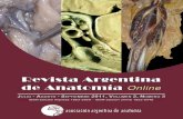 REVISTA ARGENTINA DE ANATOMÍA ONLINElistas.fmed.uba.ar/pipermail/asocarganatomia/attachments/20111117/... · Fundada en 2010 (Año del Bicentenario de la Revolución de Mayo 1810-2010)