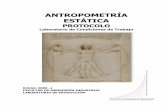 ANTROPOMETRÍA ESTÁTICA - …copernico.escuelaing.edu.co/lpinilla/www/protocols/ERGO... · El dibujo del Hombre de Vitruvio es la muestra más famosa, considerado como un símbolo