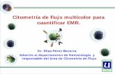 Citometría de flujo multicolor para cuantificar EMR.patologiaclinicamexicana.org.mx/minisite/merida/conferencias/26/03.pdf · Citometría de flujo multicolor para ... II ESTADIO