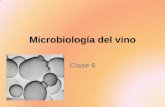 Microbiología del vino - Páginas Web Educativas :: Iniciosgpwe.izt.uam.mx/.../clase_7microbiologia_del_viino_2011-O.pdf · •La transformación o elaboración del mosto lleva dos