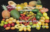 POTENCIAL FRUTICOLA DE COLOMBIA - …€¦ · COLOMBIA Cali, Agosto 04 de 2016 Ramiro Tafur Reyes, I.A. MSc. 2. VISION En el 2025 la fruticultura colombiana será un sector productivo